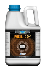 Mol Top  - 0